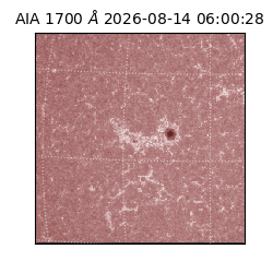 saia - 2026-08-14T06:00:28.717000