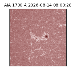 saia - 2026-08-14T08:00:28.717000