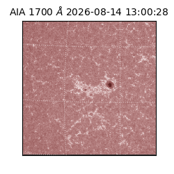 saia - 2026-08-14T13:00:28.716000