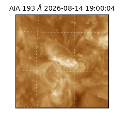 saia - 2026-08-14T19:00:04.842000