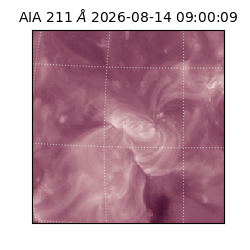 saia - 2026-08-14T09:00:09.624000