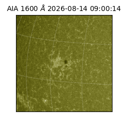 saia - 2026-08-14T09:00:14.122000
