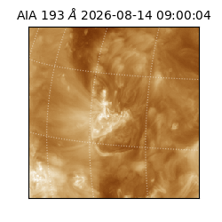 saia - 2026-08-14T09:00:04.842000