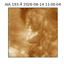 saia - 2026-08-14T11:00:04.842000