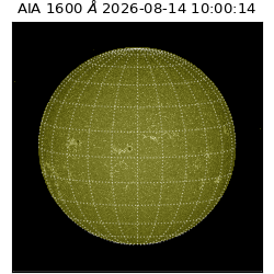saia - 2026-08-14T10:00:14.122000
