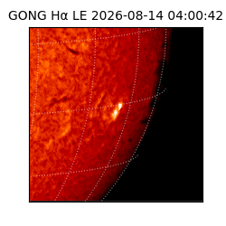 gong - 2026-08-14T04:00:42