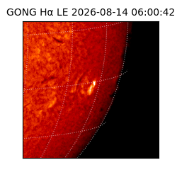 gong - 2026-08-14T06:00:42