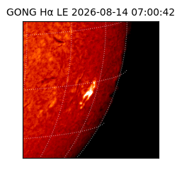 gong - 2026-08-14T07:00:42
