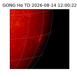 gong - 2026-08-14T12:00:22