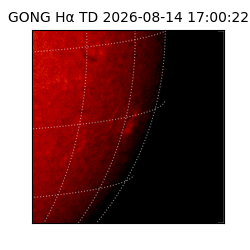 gong - 2026-08-14T17:00:22