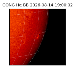 gong - 2026-08-14T19:00:02