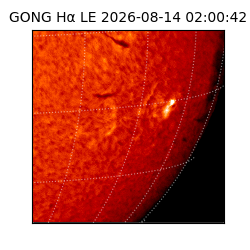 gong - 2026-08-14T02:00:42