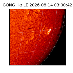 gong - 2026-08-14T03:00:42
