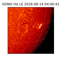 gong - 2026-08-14T04:00:42