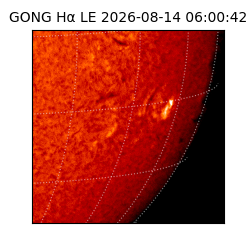 gong - 2026-08-14T06:00:42