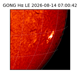 gong - 2026-08-14T07:00:42