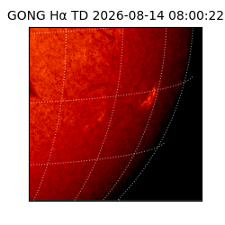 gong - 2026-08-14T08:00:22