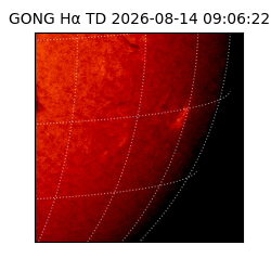 gong - 2026-08-14T09:06:22