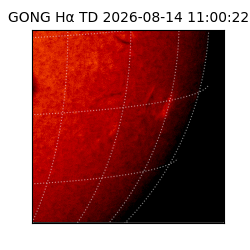 gong - 2026-08-14T11:00:22