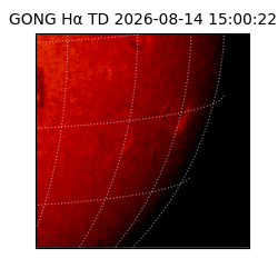 gong - 2026-08-14T15:00:22