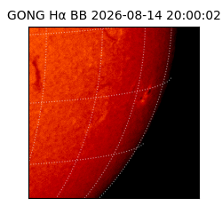 gong - 2026-08-14T20:00:02