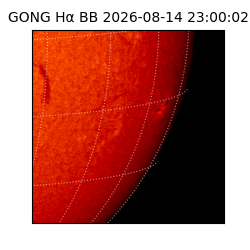 gong - 2026-08-14T23:00:02
