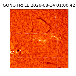 gong - 2026-08-14T01:00:42