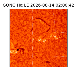gong - 2026-08-14T02:00:42
