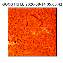 gong - 2026-08-14T05:00:42