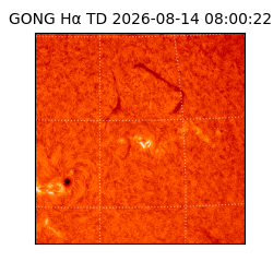 gong - 2026-08-14T08:00:22