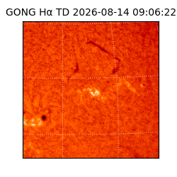 gong - 2026-08-14T09:06:22