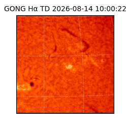 gong - 2026-08-14T10:00:22
