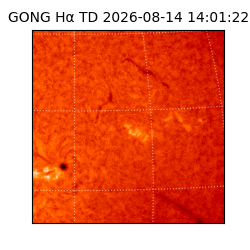 gong - 2026-08-14T14:01:22