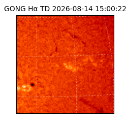 gong - 2026-08-14T15:00:22