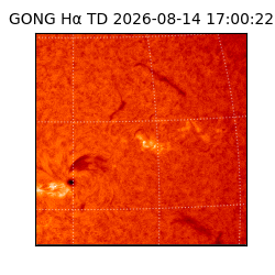 gong - 2026-08-14T17:00:22