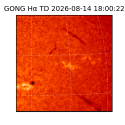 gong - 2026-08-14T18:00:22