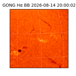 gong - 2026-08-14T20:00:02
