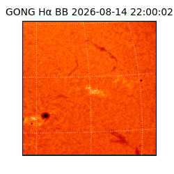 gong - 2026-08-14T22:00:02