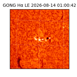 gong - 2026-08-14T01:00:42