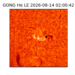 gong - 2026-08-14T02:00:42