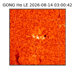 gong - 2026-08-14T03:00:42