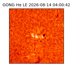 gong - 2026-08-14T04:00:42