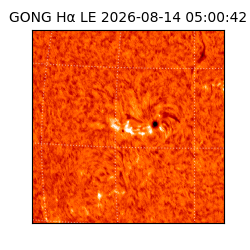 gong - 2026-08-14T05:00:42