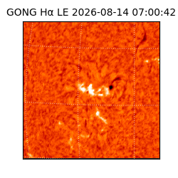gong - 2026-08-14T07:00:42