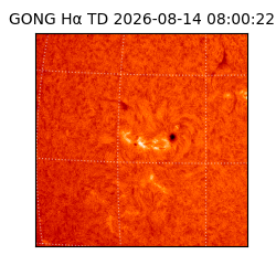 gong - 2026-08-14T08:00:22
