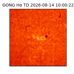 gong - 2026-08-14T10:00:22