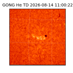 gong - 2026-08-14T11:00:22