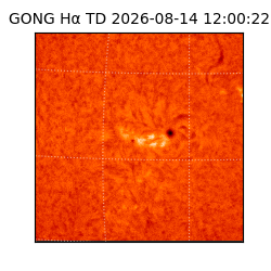 gong - 2026-08-14T12:00:22