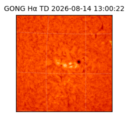 gong - 2026-08-14T13:00:22