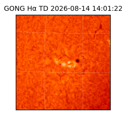 gong - 2026-08-14T14:01:22